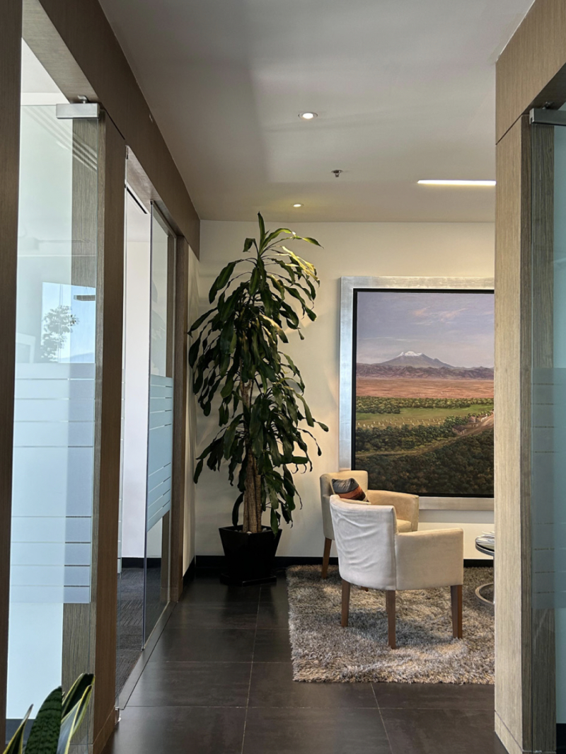 41732052906oficina en renta en pabellon bosques