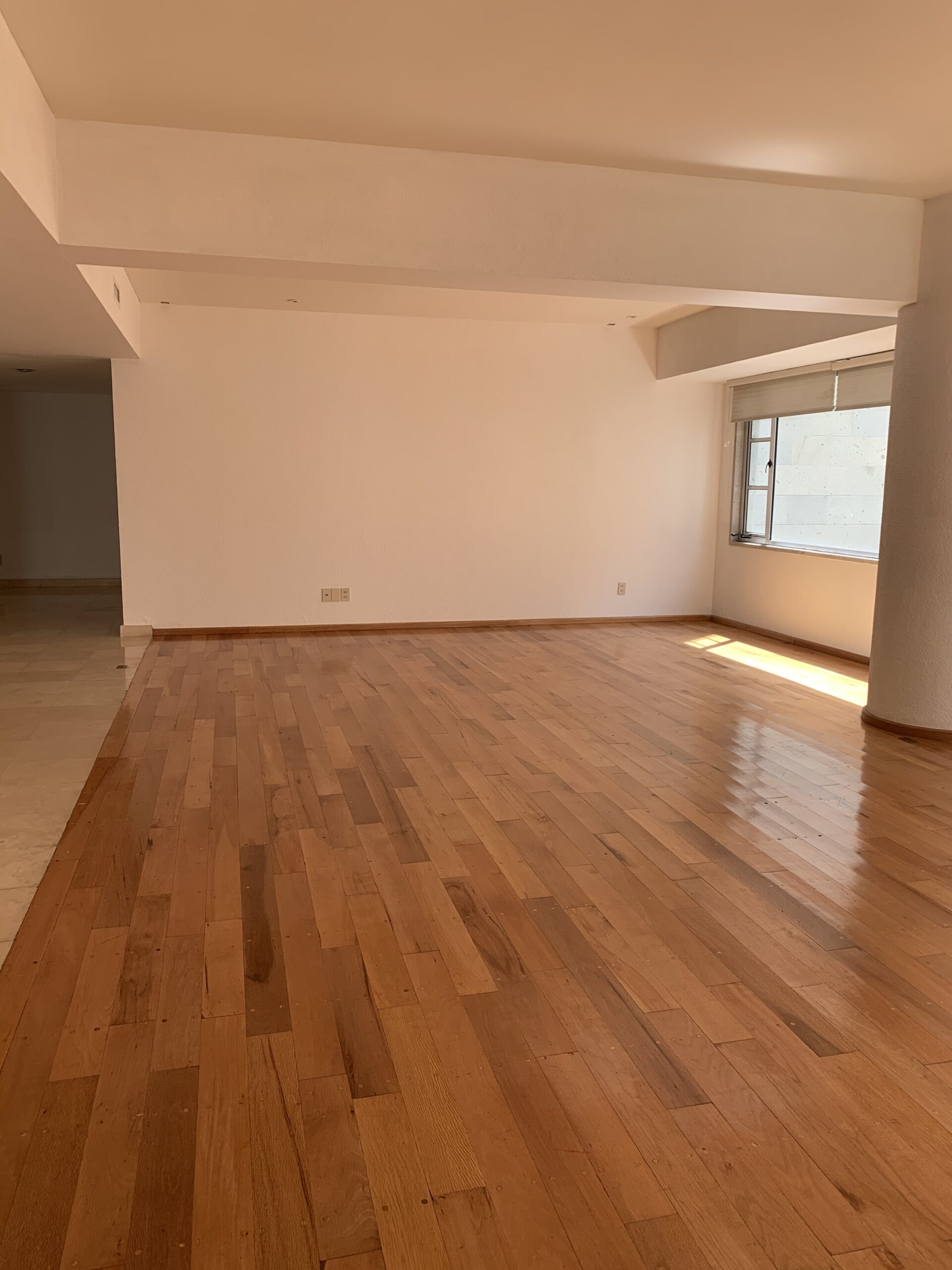 Foto 10 20 20 2 16 43 p. m scaled