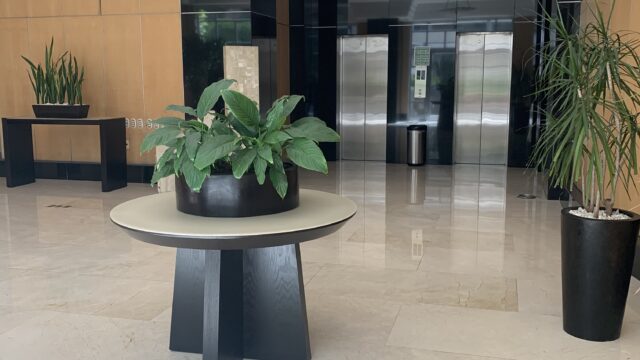 Foto 10-20-20 2 47 26 p. m.