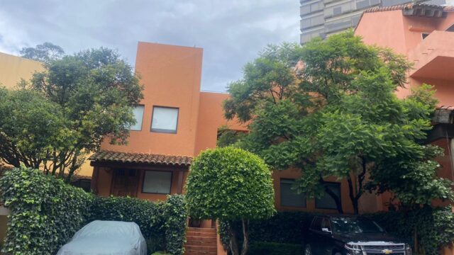 WhatsApp Image 2025-12-21 at 17.38.00