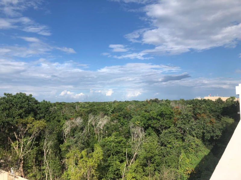 131716338255departamento en venta aldea zamafraccionamiento tulum