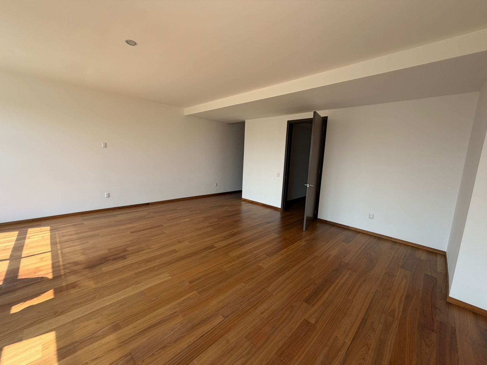 WhatsApp Image 2026 02 26 at 15.41.23 7