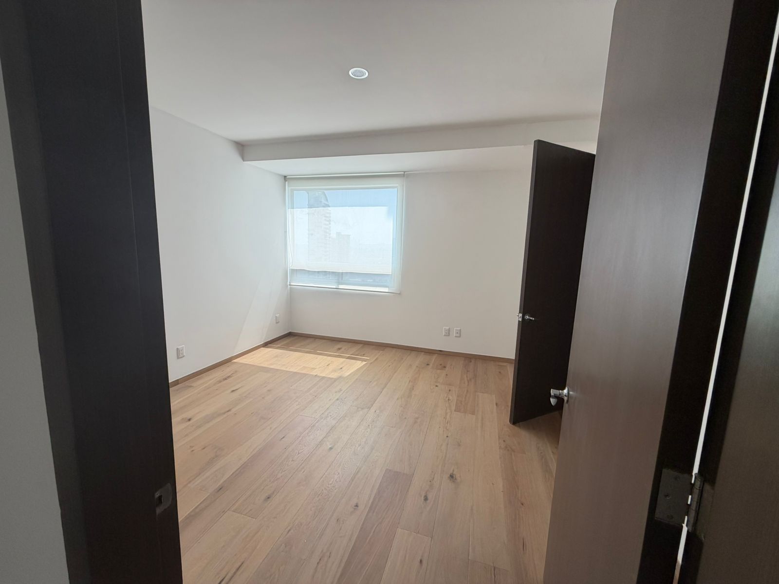 WhatsApp Image 2026 02 26 at 15.42.48 11