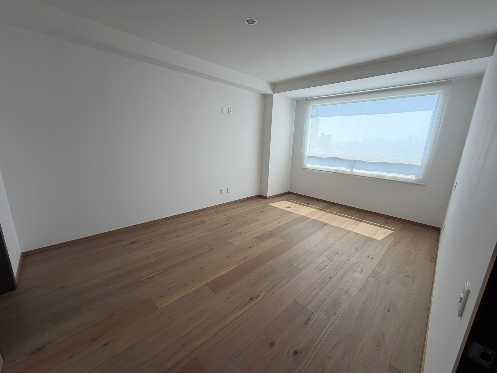 WhatsApp Image 2026 02 26 at 15.42.48 5