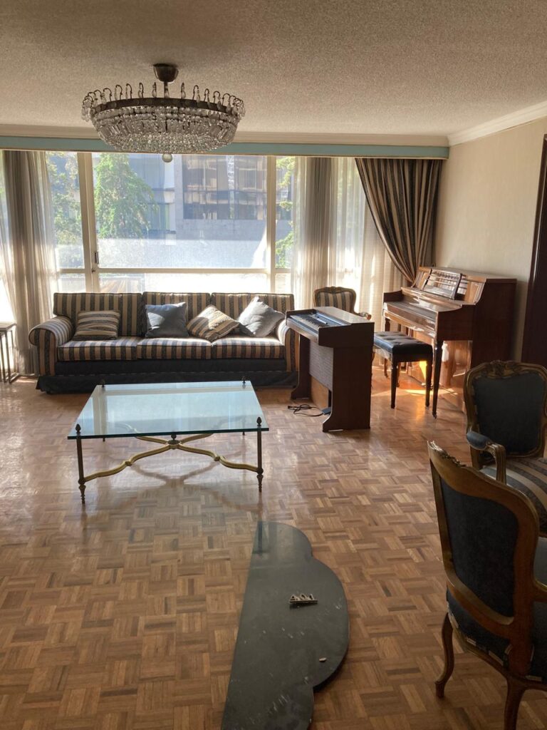 Departamento en Venta en Horacio Polanco